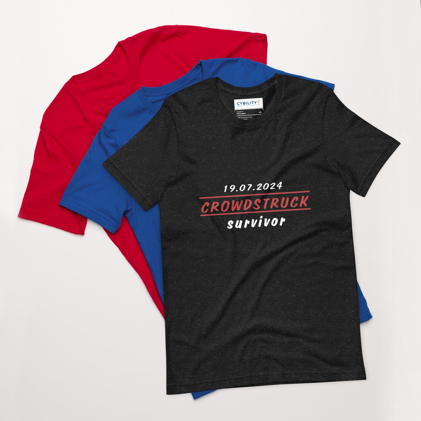 Crowdstruck Survivor 2024 Unisex t-shirt